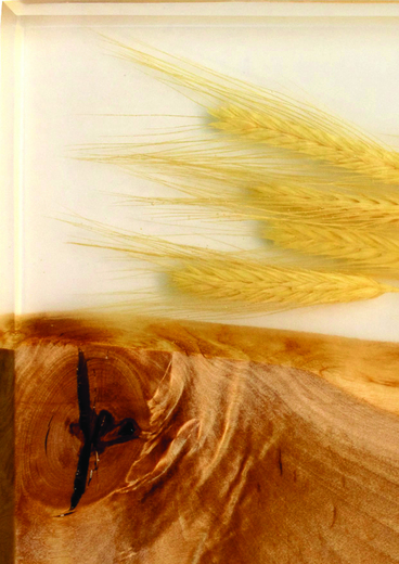 Velká servírovací prkénka